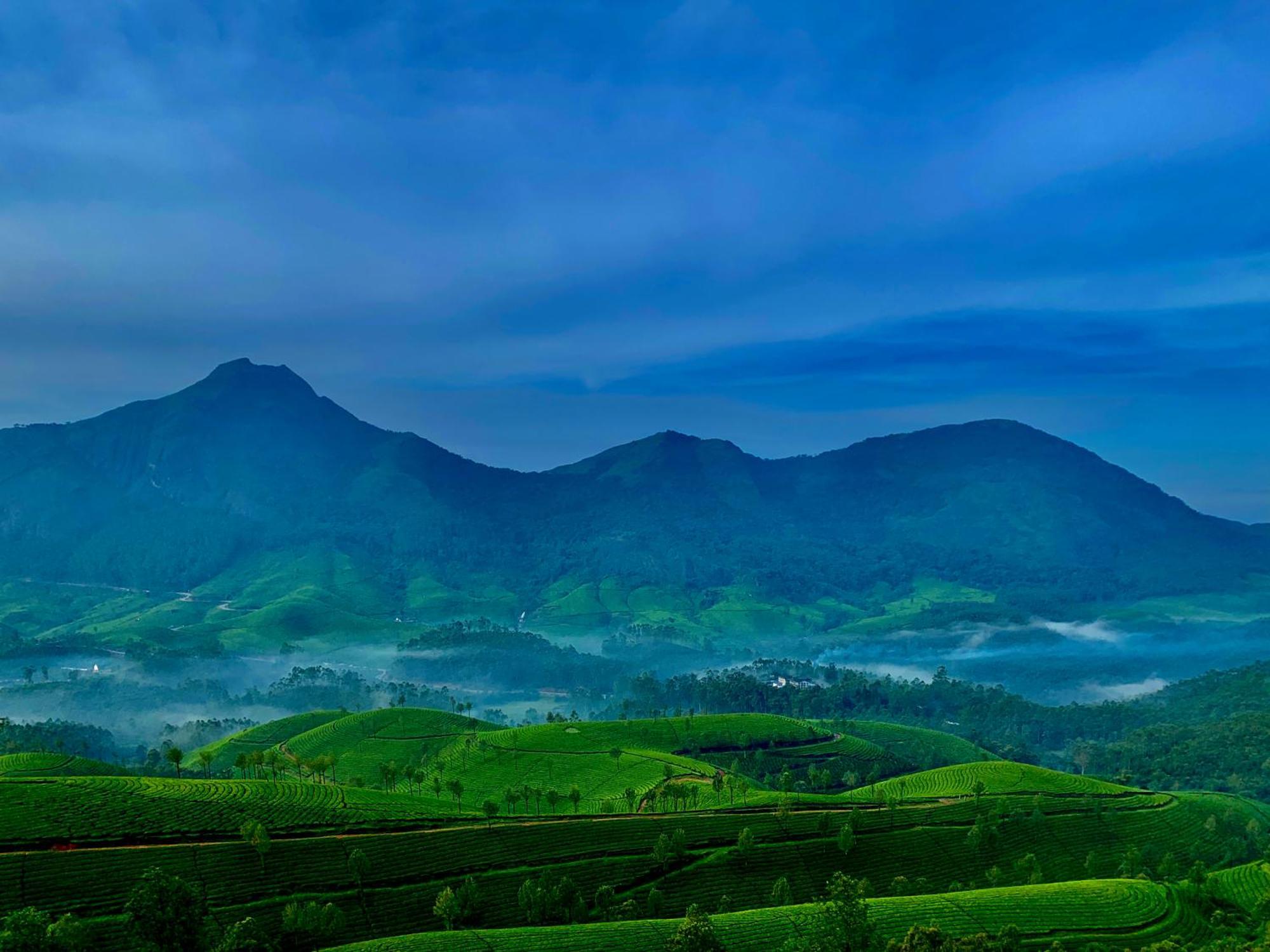 Lockhart Bungalow Munnar - A Cgh Earth Saha Experience Екстериор снимка