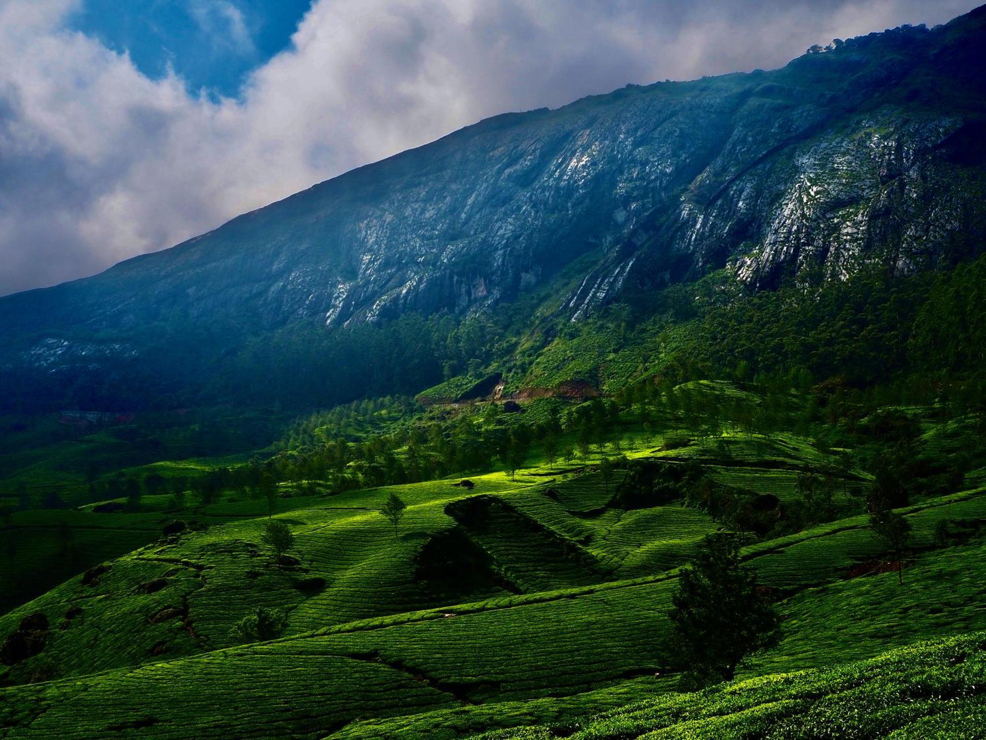 Lockhart Bungalow Munnar - A Cgh Earth Saha Experience Екстериор снимка